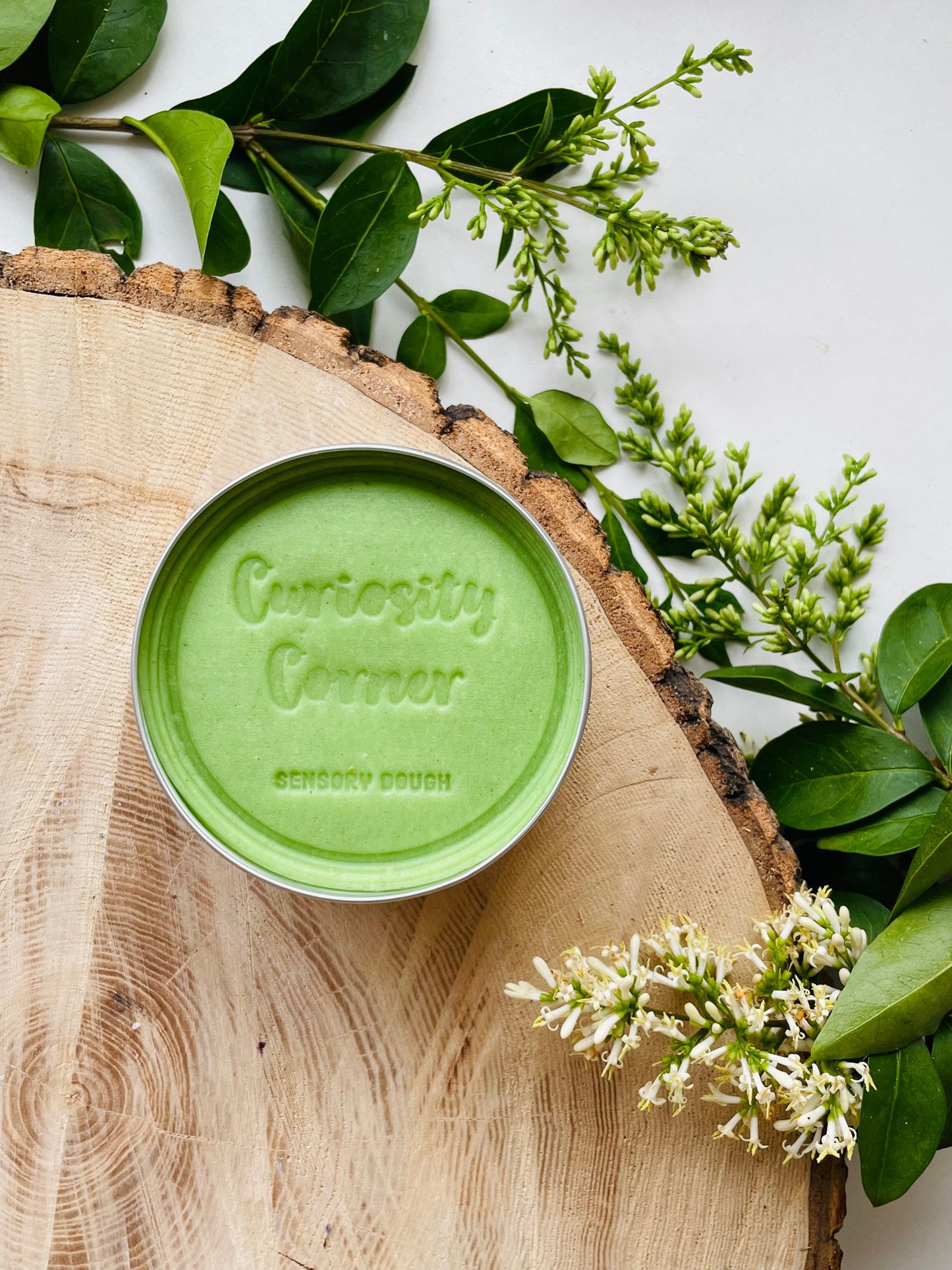 Fresh Meadow Green Curiosity Corner - Play Dough