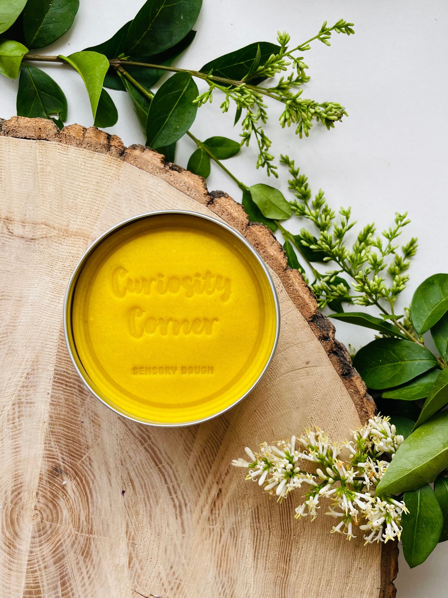 Buttercup Burst Curiosity Corner - Play Dough
