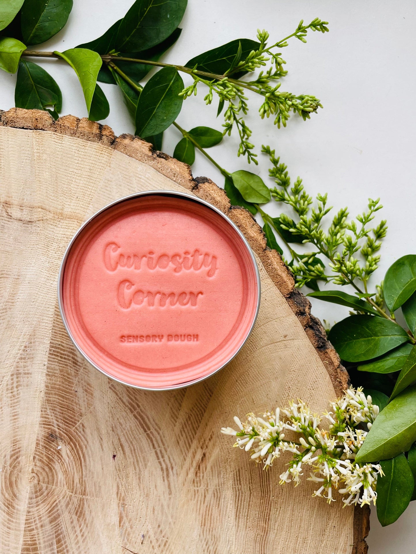 Spring Rose Pink Curiosity Corner - Play Dough