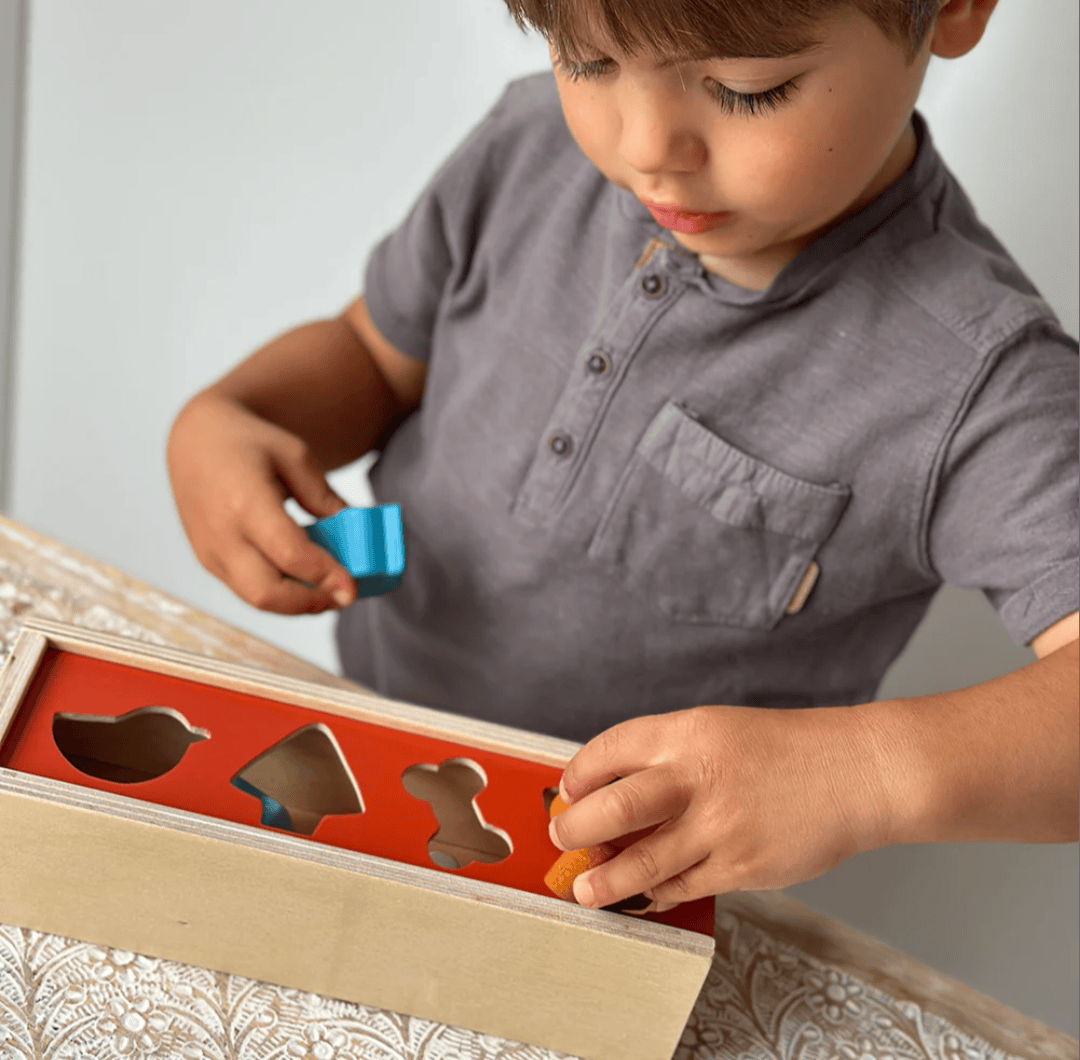Mentari | Pet Shape Sorting Box