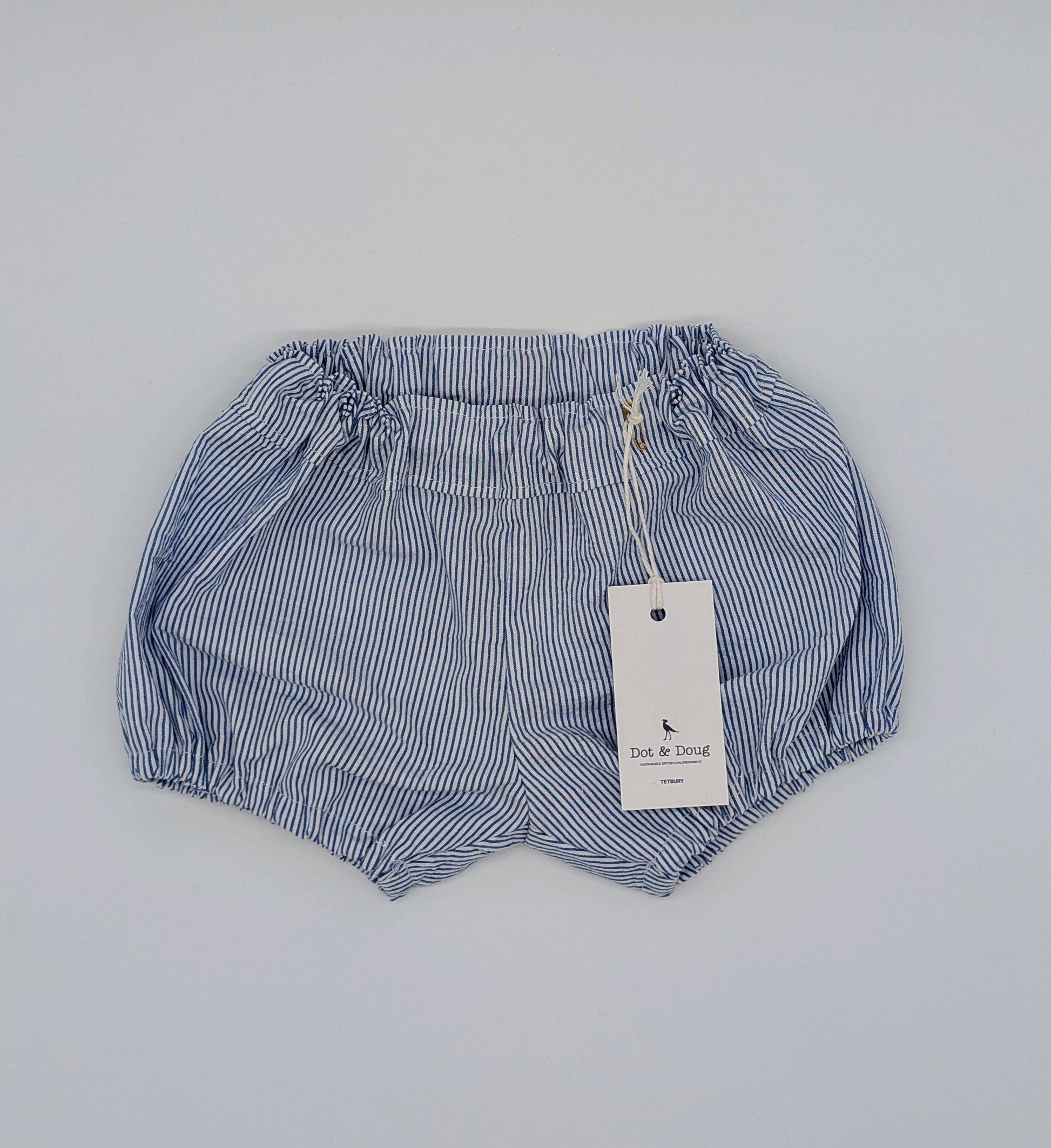 Blue Stripe Bloomer