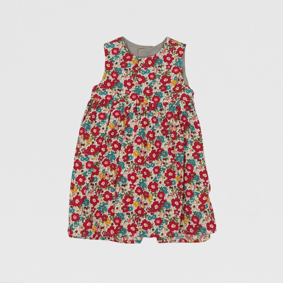 Darcie Floral Dress | Red/Blue/Multi
