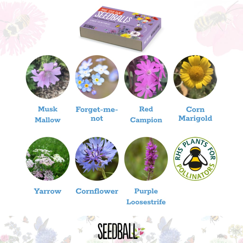 Clearance Make your own seedball kit